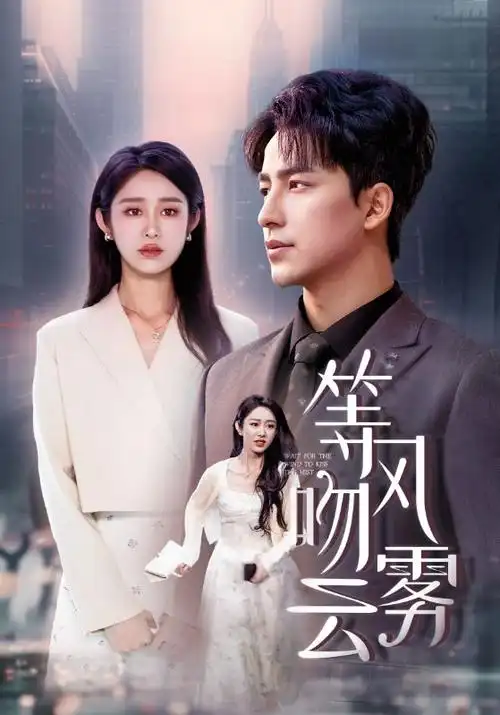 长夜微光 热播电视剧全集免费观看